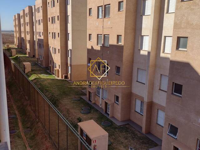 #AP1126 - Apartamento para Locação em Paulínia - SP - 1